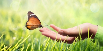 Unternehmen Nachhaltigkeit